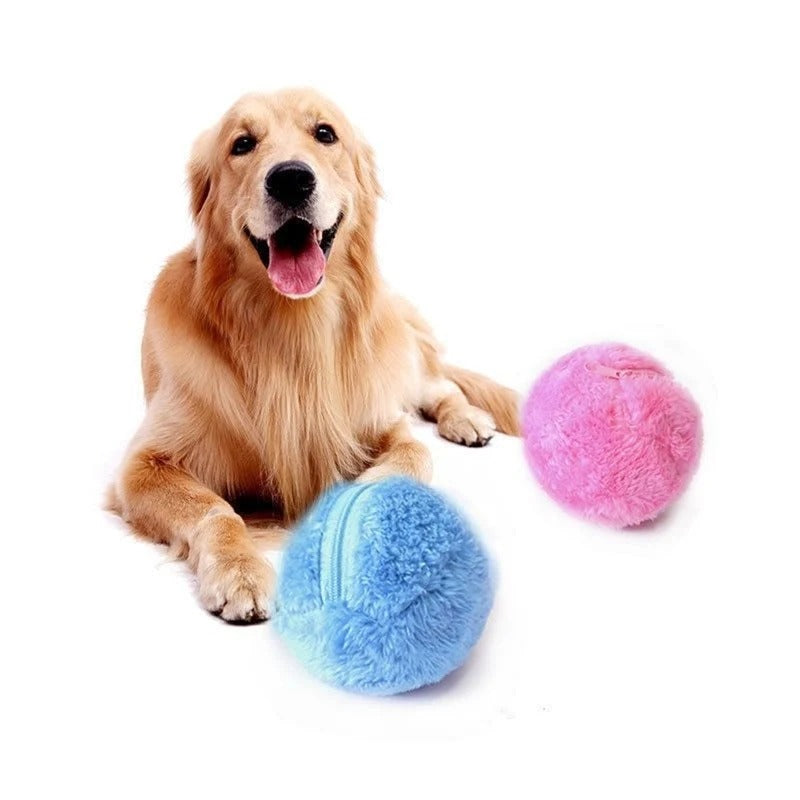 Dog Rolling Ball