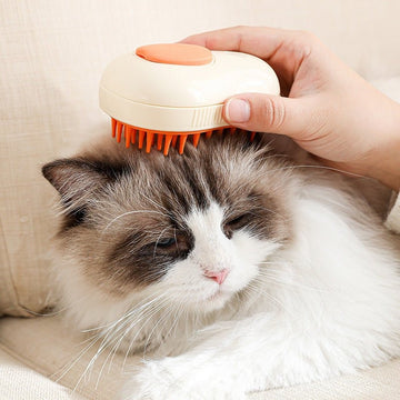 Self Cleaning Steam Cat Brush For Massage Pet Spray Cat Grooming