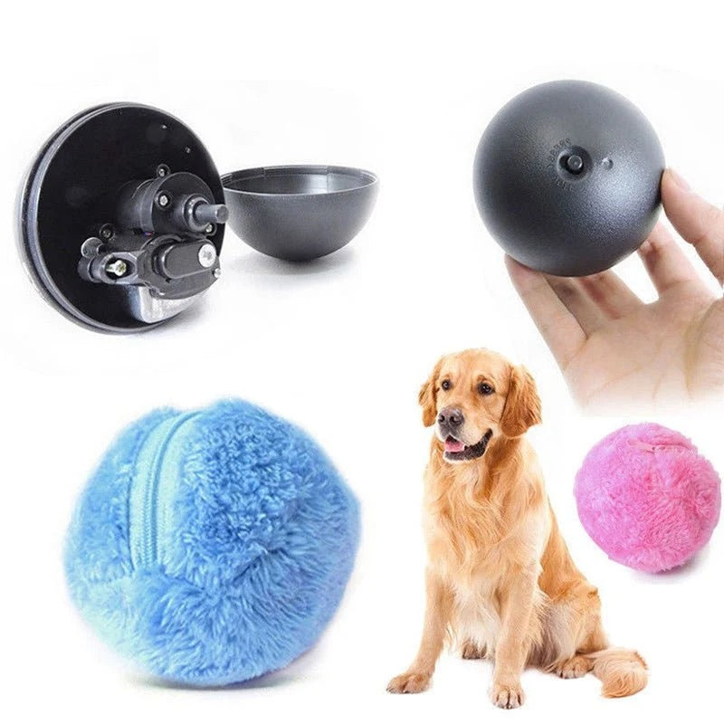 Dog Rolling Ball
